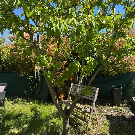 Tatil Evi La Maison Du Cerisier Manosque